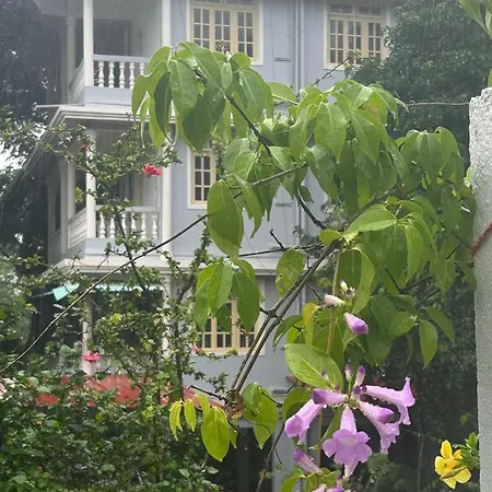 Diva Gomes Guest House